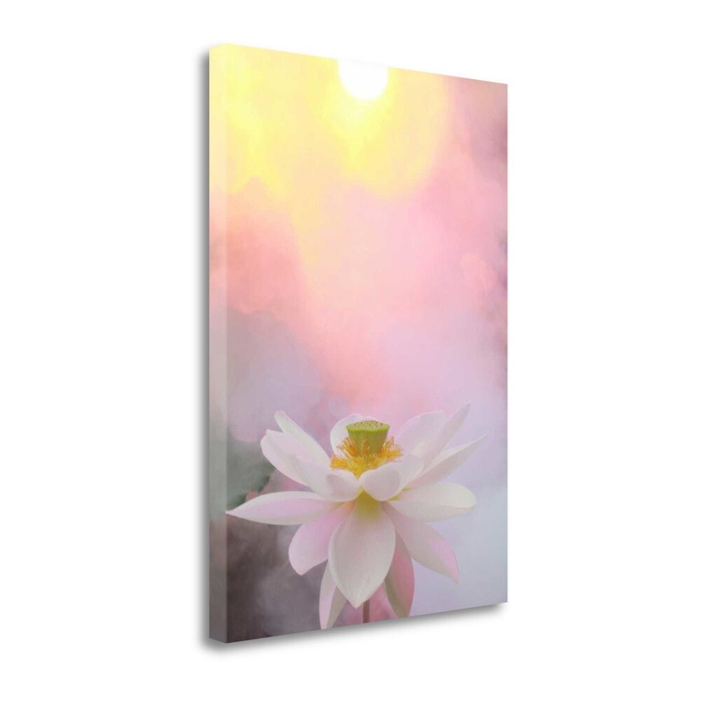 Beauty At Dawn By Bahman Farzad - Fine Art Giclee Print on Gallery Wrap Canvas - Ready to Hang Wall Art for Living Room, Bedroom & Office Decor