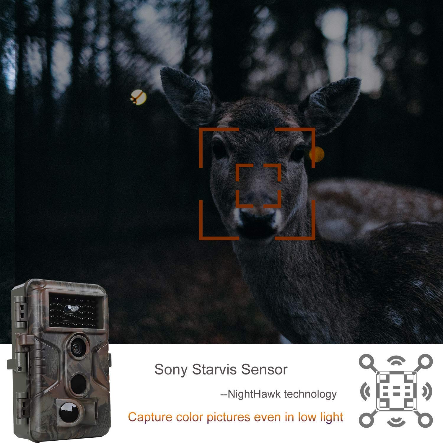 BLAZEVIDEO 4-Pack 32MP 1296P No Glow Trail Camera with Night Vision, 2.4
