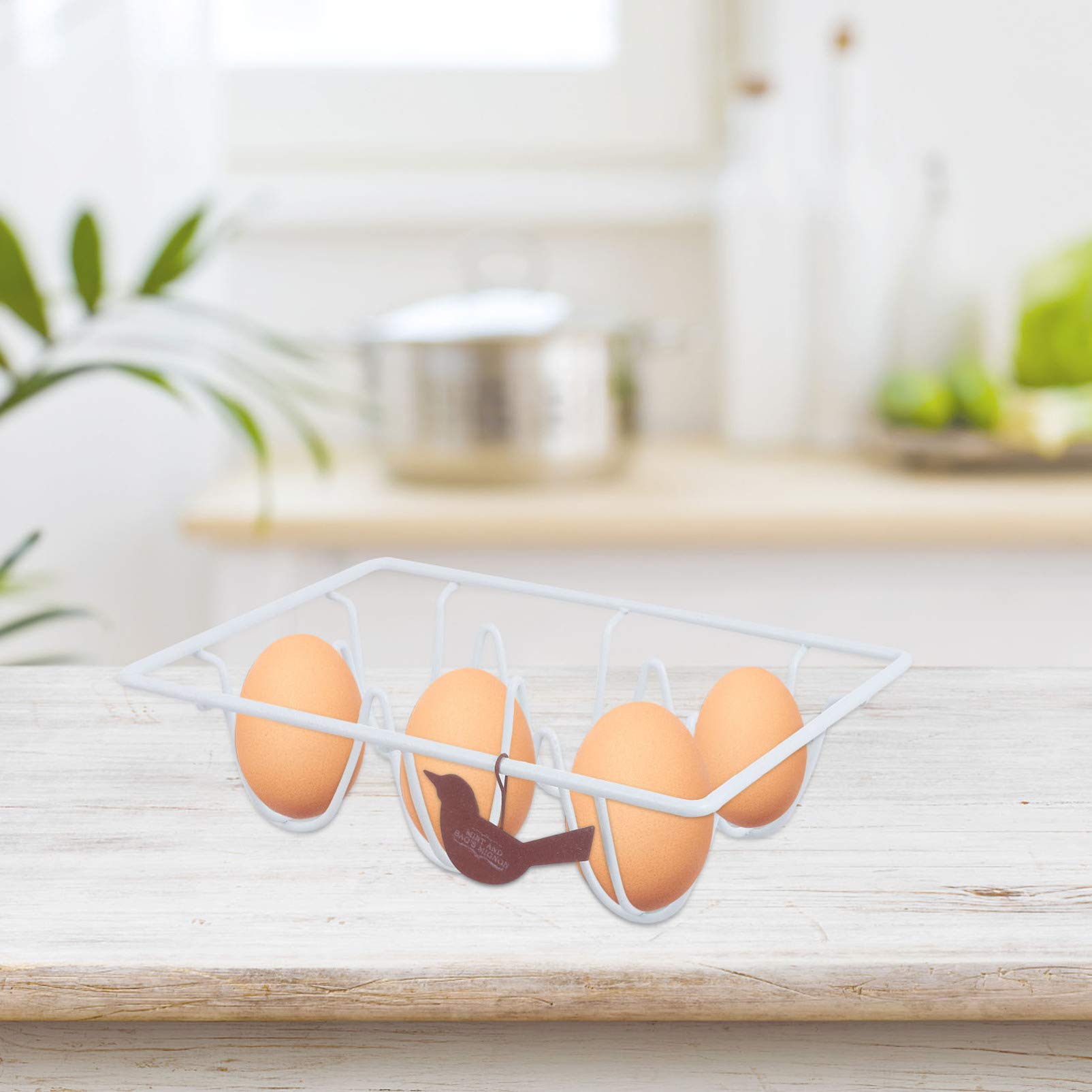Hemoton 12-Slot Egg Holder - Durable Plastic Egg Storage Tray, Egg Organizer & Carrier for Refrigerator - Perfect for Farm Fresh Eggs, Breakfast Meal Prep & Kitchen Organization