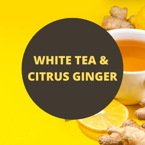 Golden Goat Farms White Tea & Citrus Ginger Scented Hair Detangler Spray with Goat Milk - 4 Oz (2 Pack) | Natural Leave-In Conditioner for Dry, Frizzy & Curly Hair | Perfect for Daily Use, Travel & Salon Styling