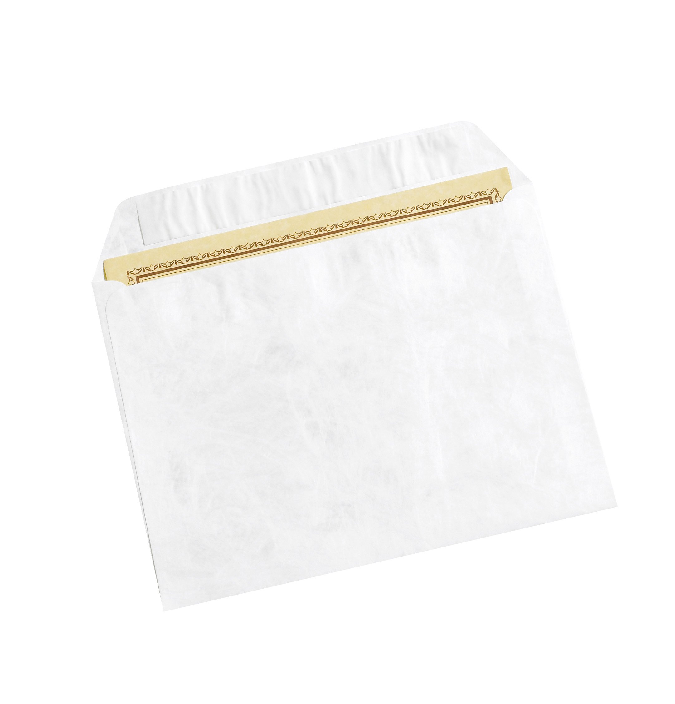 Aviditi TYF0912WS White Tyvek Olefin Flat Envelopes 9x12 Inches - Pack of 100 for Shipping, Mailing & Document Protection - Ideal for Offices, Businesses & Postal Services