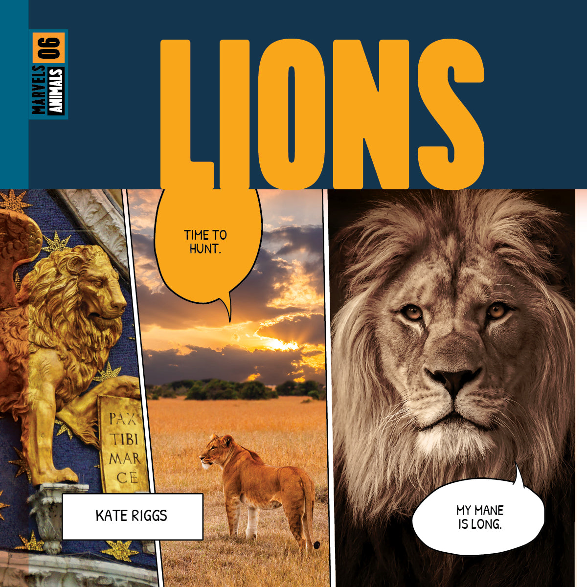 Lions Book 9781640268432 - Wildlife Animal Encyclopedia for Kids & Adults - Perfect for Education, Research & Nature Lovers