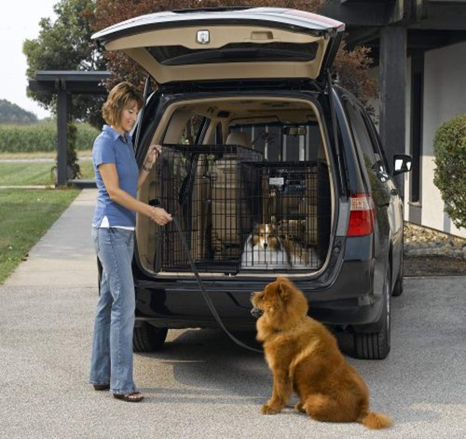 Midwest Side-by-Side Double Door SUV Crate with Plastic Pan - Durable Pet Carrier for Dogs & Cats - Perfect for Travel, Vet Visits & Home Use