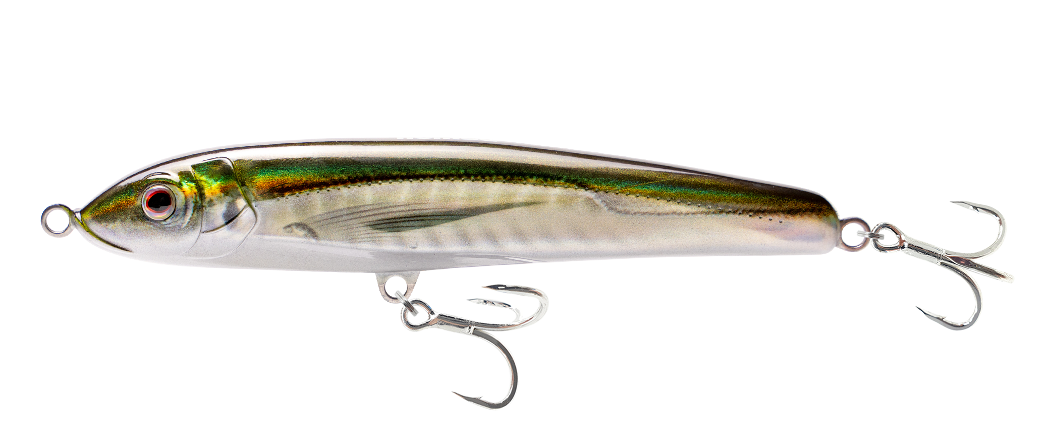 Olive Back Shad