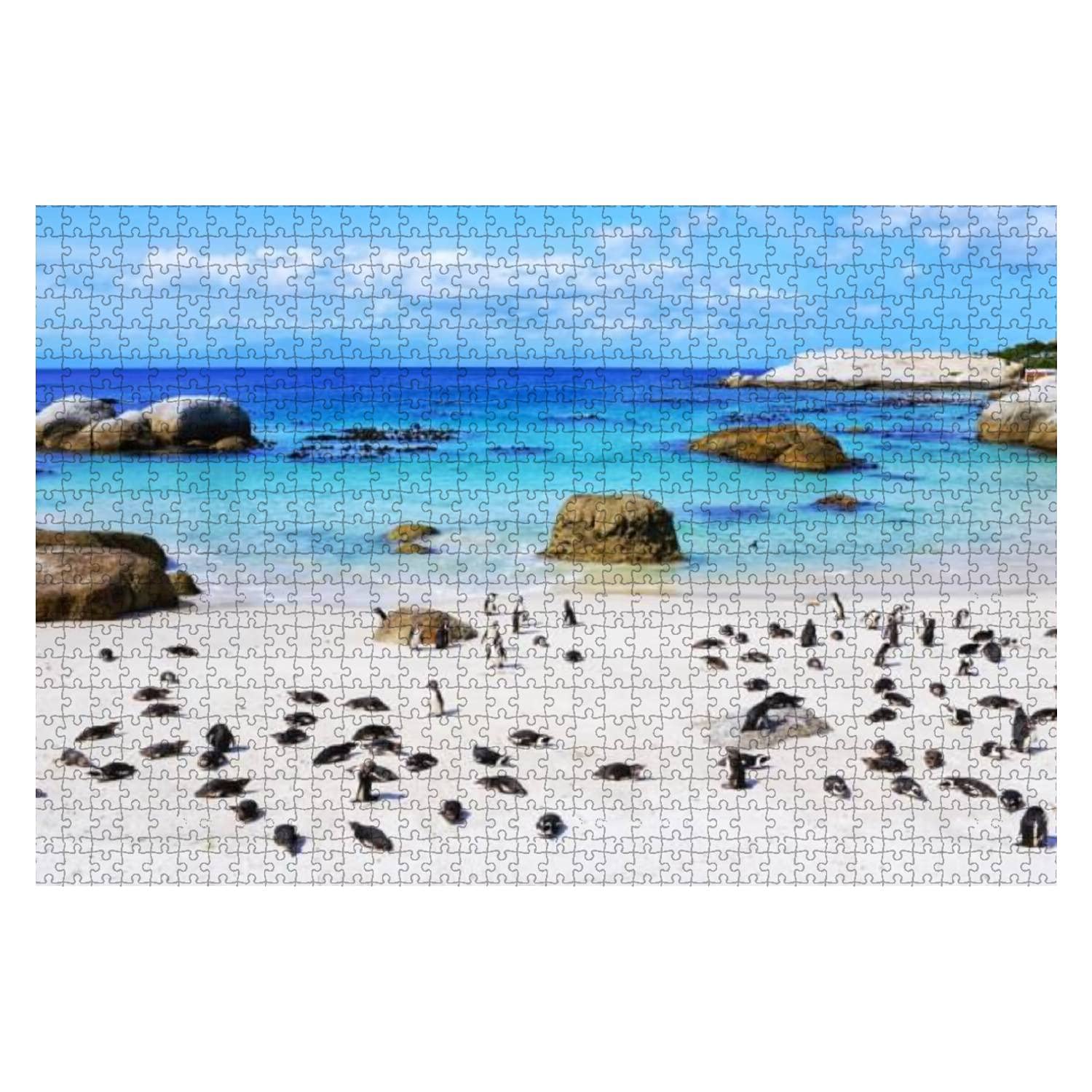 1000-Piece Wooden Jigsaw Puzzle - African Penguin Colony at Boulders Beach, South Africa | DIY Educational Puzzle for Kids & Adults | Stress Relief Gift, Creative Game & Home Decor | Perfect for Family Game Night & Classroom Learning Activities