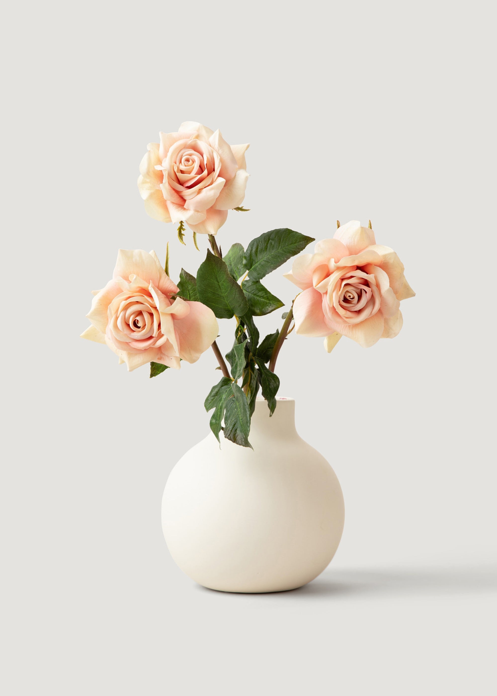 Real Touch Artificial Duchess Rose in Peach Dust - 20 Stems for Home Decor, Wedding Bouquets, and Floral Arrangements