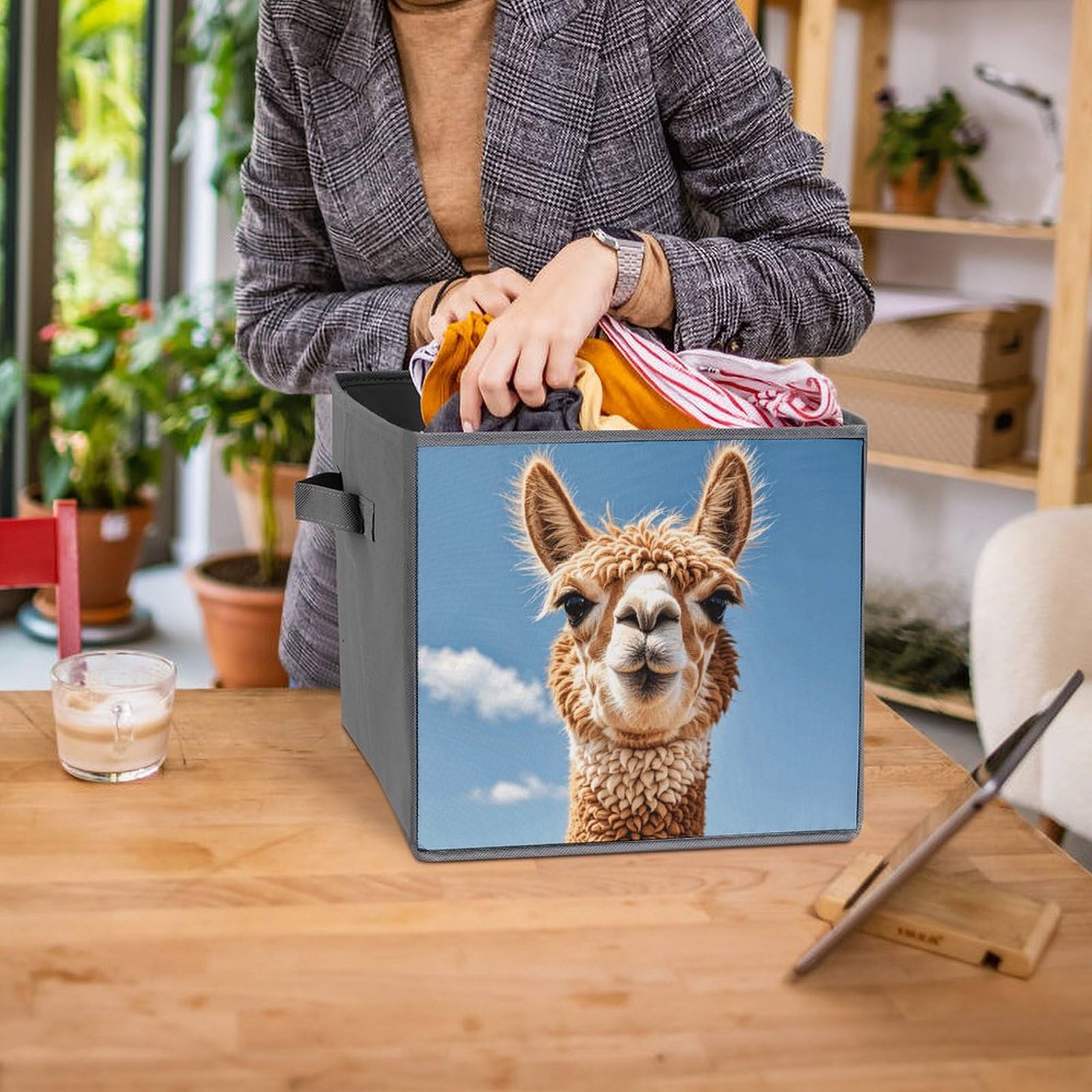 6-Piece Collapsible Storage Bins with Handles - Cute Alpaca Llama Printed Foldable Organizer Boxes for Shelves, Closet, Bathroom & Kids Room Organization | Space-Saving Home Storage Solution