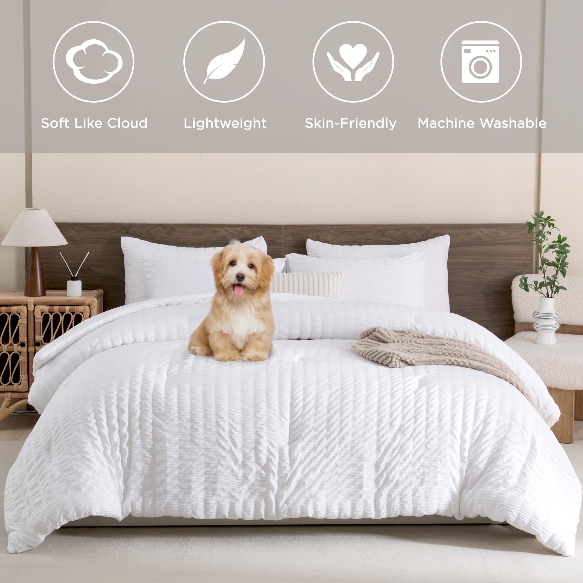Andency White Twin Size Comforter Set - 2 Piece Lightweight Microfiber Down Alternative Bedding (66x90 inches) with Seersucker Texture - Perfect for Kids Rooms, Dormitories & Guest Bedrooms