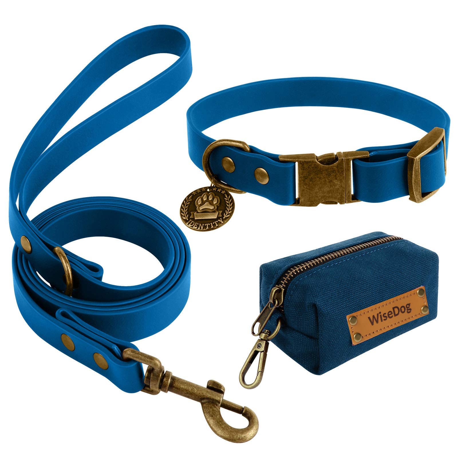 A Walk to Remember: The Adventure of Max and His WiseDog Collar