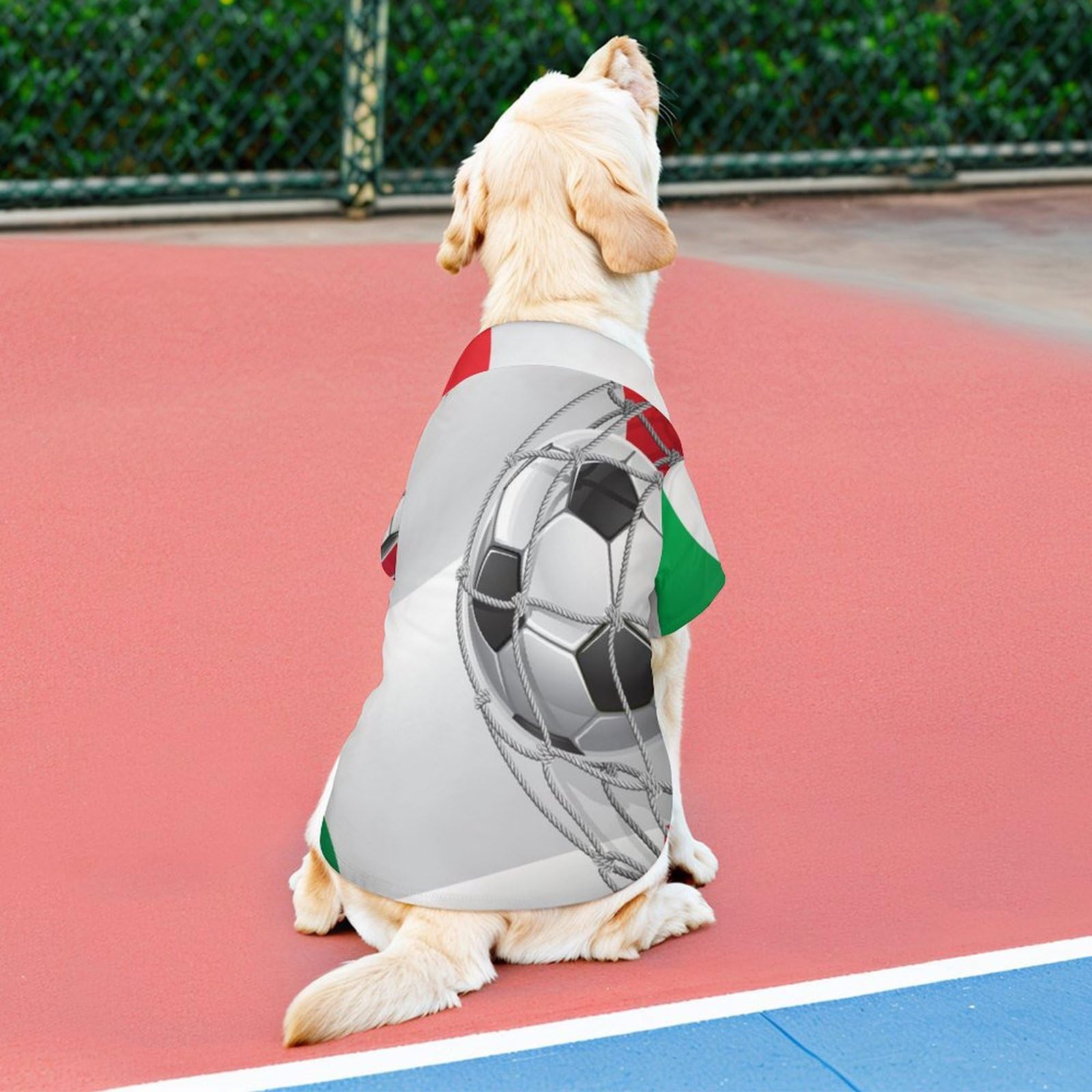 Italy Flag Soccer Dog Shirts - Button Up Pet T-Shirts & Sweatshirts for Small Medium Dogs & Cats - Cute Soccer Fan Outfits for Game Day & National Pride Celebrations