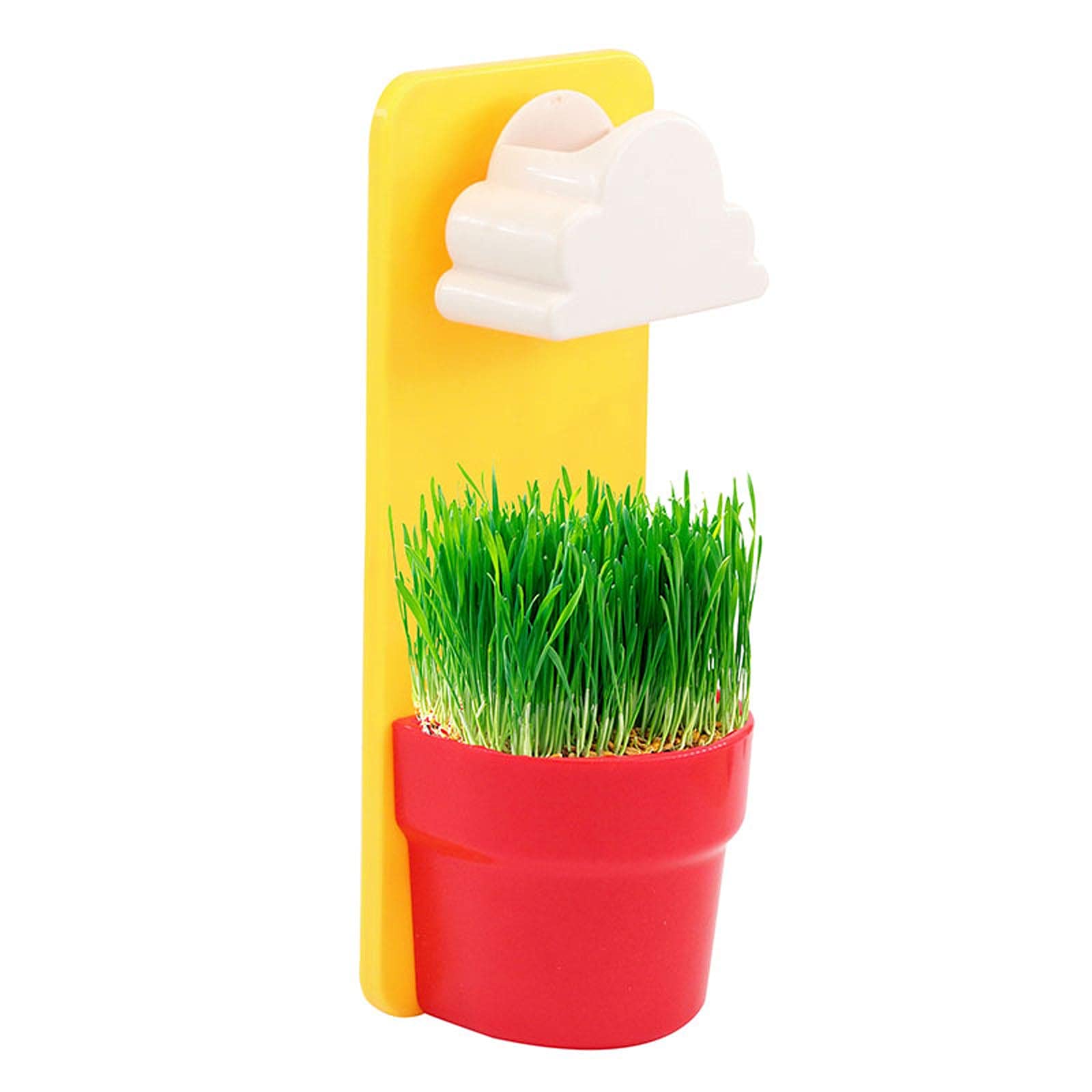 Wall-Mounted Rain Cloud Watering Pot - Automatic Self-Watering Planter for Office Desk & Home Decor | Mini Pastoral Style Flower Pot with Irrigation System | Perfect for Indoor Plants, Succulents & Herb Gardens | Easy Water Refill & Low Maintenance Design