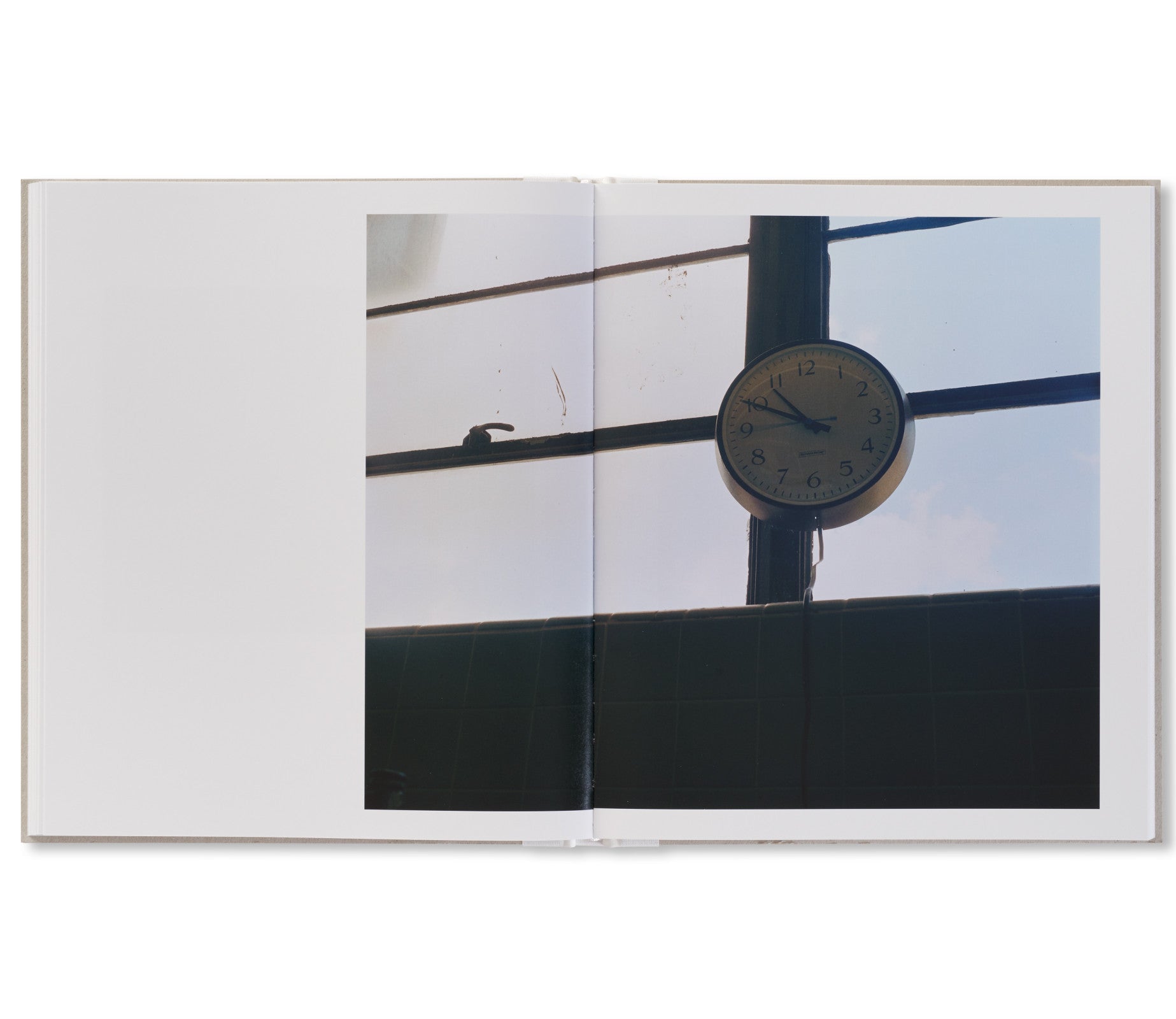 Nausea by Ron Jude - Contemporary Art Photography Book for Collectors - Perfect for Home Decor, Gallery Displays & Art Enthusiasts