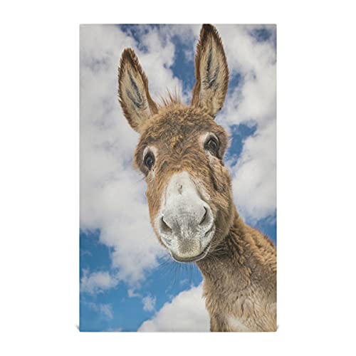 Donkey