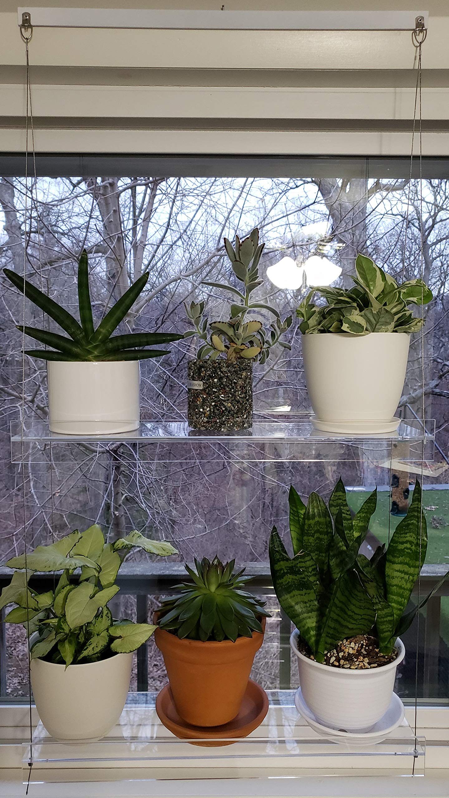 Clear Acrylic Window Shelves for Plants & Decor - 22