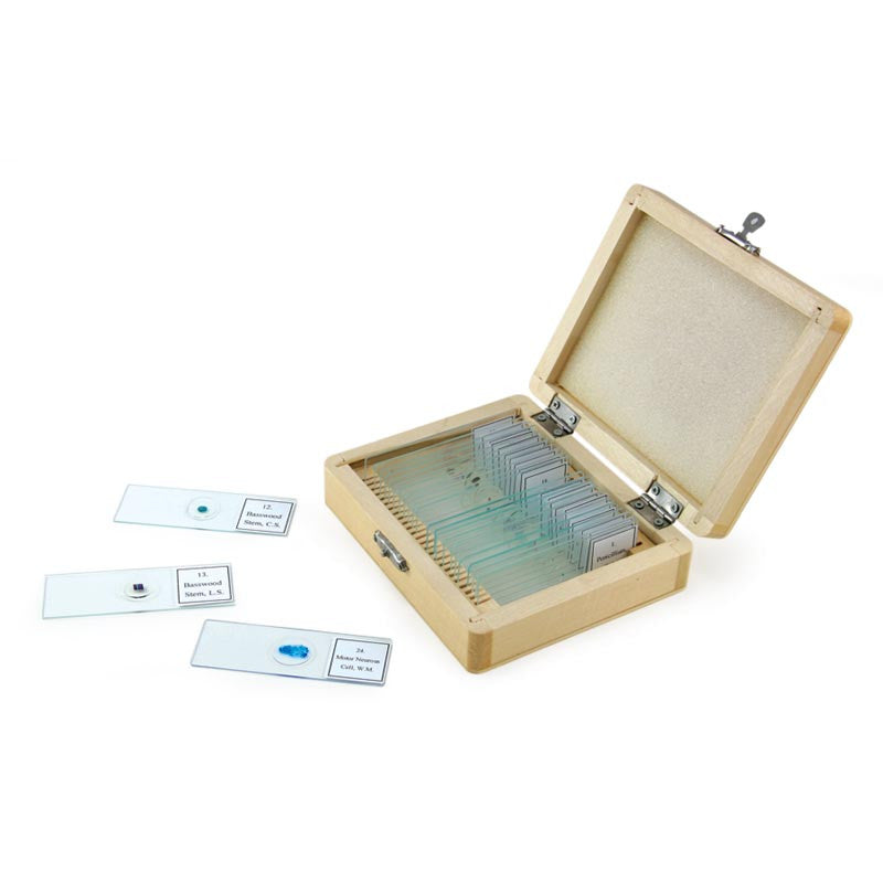 Celestron Microscope Prepared Slides - 25 Piece Set (44410) for Kids & Students - Biology Lab & Science Classroom Learning
