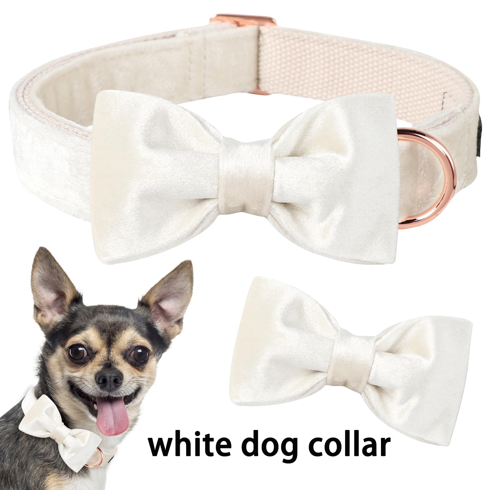 ARING PET Velvet Dog Collar with Detachable Bowtie - White Wedding Soft Dog Collar for Small Dogs - Perfect for Weddings, Parties & Special Occasions