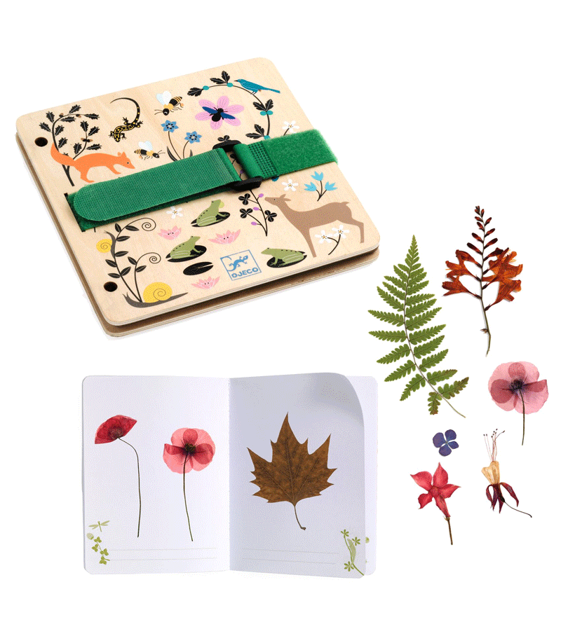 DIY Plant Press and Herbarium Kit by Djeco - Preserve Flowers & Leaves for Botanical Art, Science Projects, and Nature Crafts