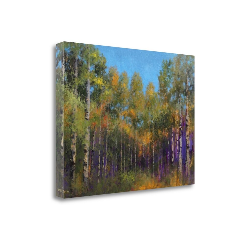 Aspen Autumn by Thomas Stotts - Premium Giclee Art Print on Gallery Wrapped Canvas - Ready to Hang Wall Decor for Living Room, Bedroom & Office