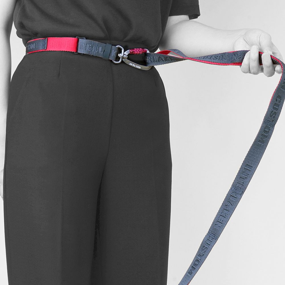 Earthtec I Leash - Durable Reflective Dog Leash for Small, Medium & Large Dogs - Perfect for Walking, Running & Nighttime Safety