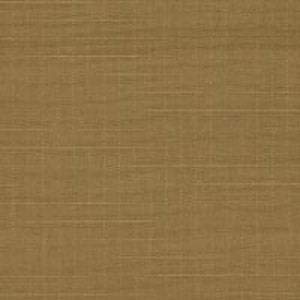 Coyote Brown