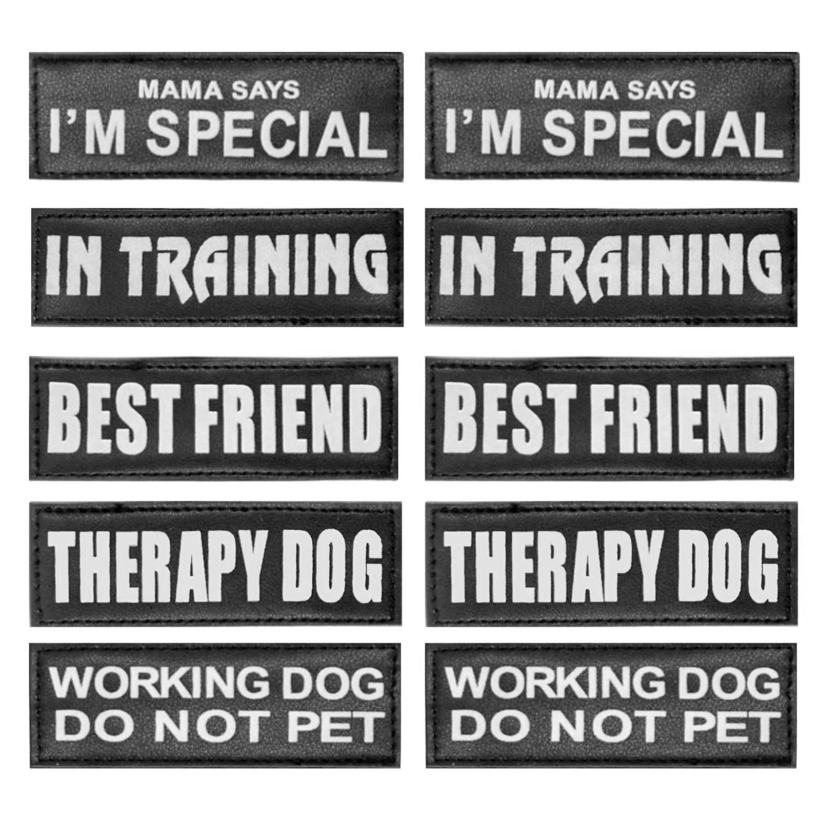 10 Pack Reflective & Removable Service Dog Patches - Auroth Training Vest Patches for Service Dogs | Perfect for Harnesses, Vests & Public Identification
