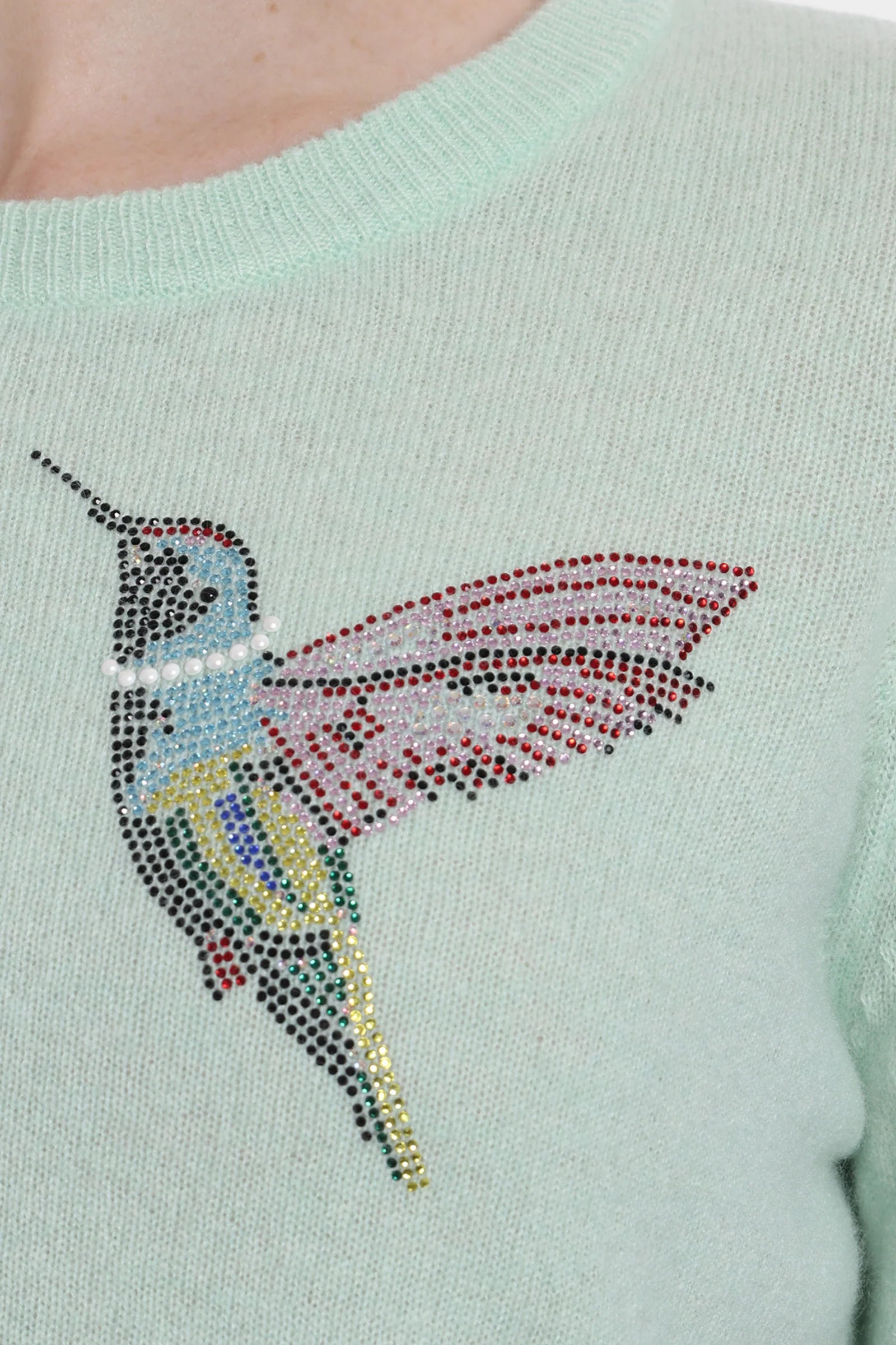 Minnie Rose Hummingbird Bling Crew Neck Sweatshirt - Cute Graphic Pullover for Women | Perfect for Casual Wear, Street Style & Gift Giving