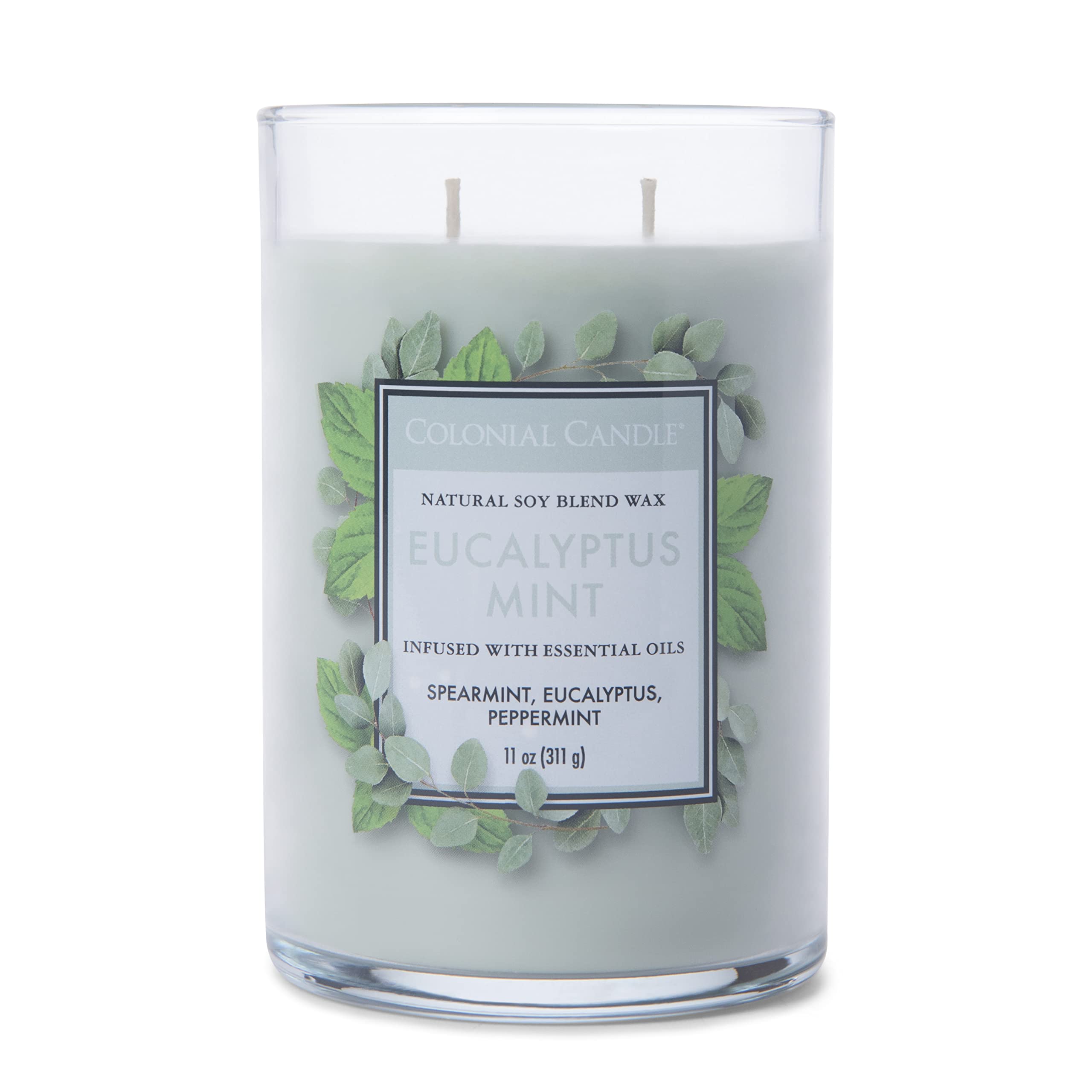 Colonial Candle Eucalyptus Mint Scented Jar Candle - 2 Wick, 11 oz (80 Hours Burn Time) | Classic Cylinders Collection | Green Home Decor for Relaxation, Spa & Aromatherapy