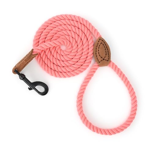 Salmon Rose