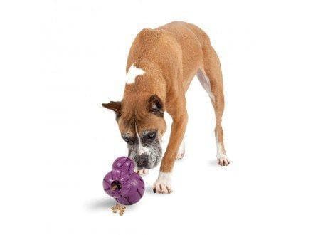 Busy Buddy® Barnacle Dog Toy - Interactive Chew Toy for Small & Medium Dogs - Great for Teething, Boredom & Dental Health - Perfect for Indoor & Outdoor Play