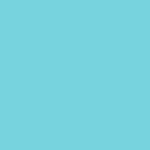 750g Polymaker Teal