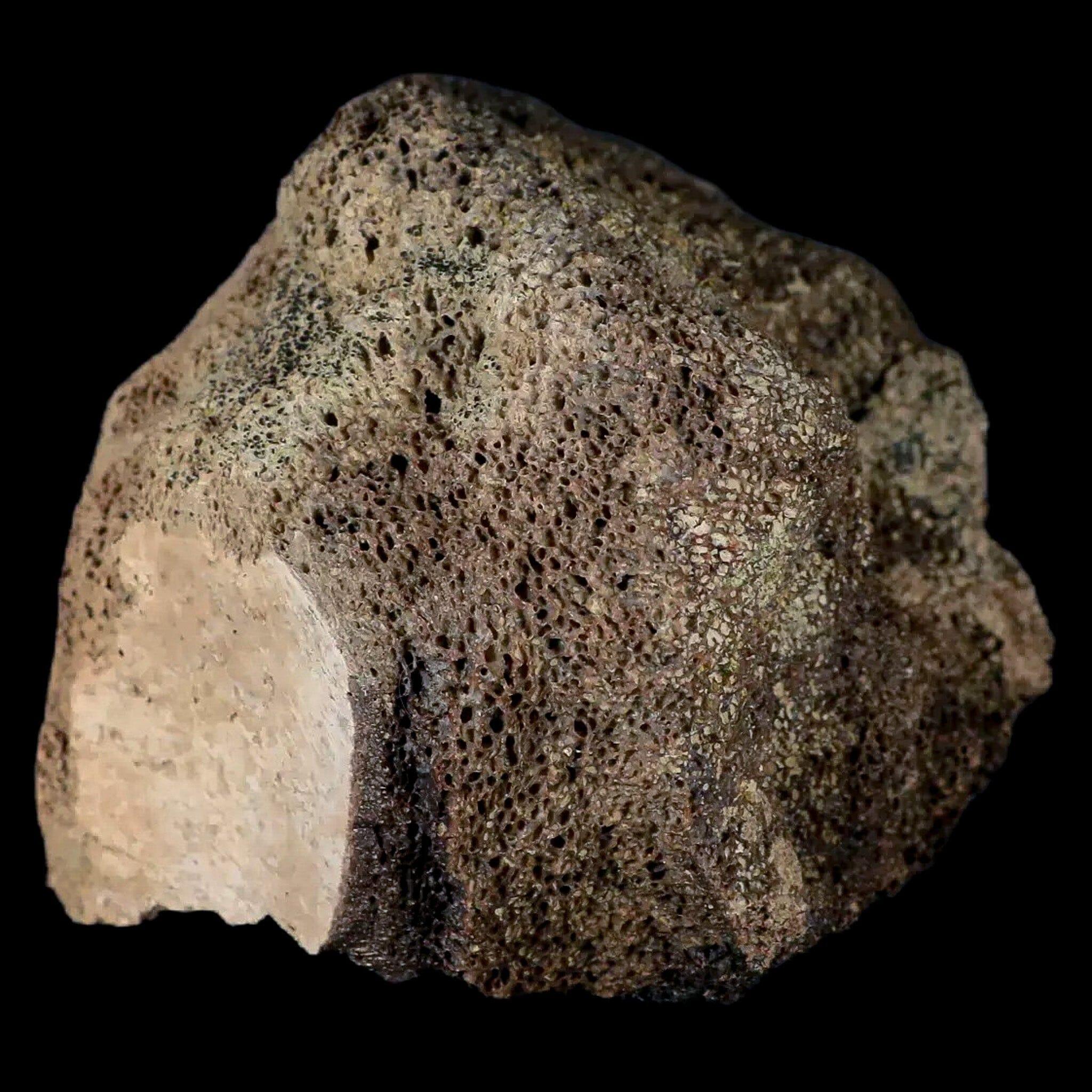 2.8