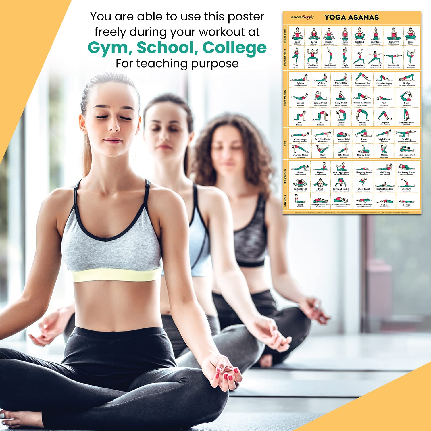 SPORTAXIS Yoga Poster - 64 Asanas for Home Workout & Fitness