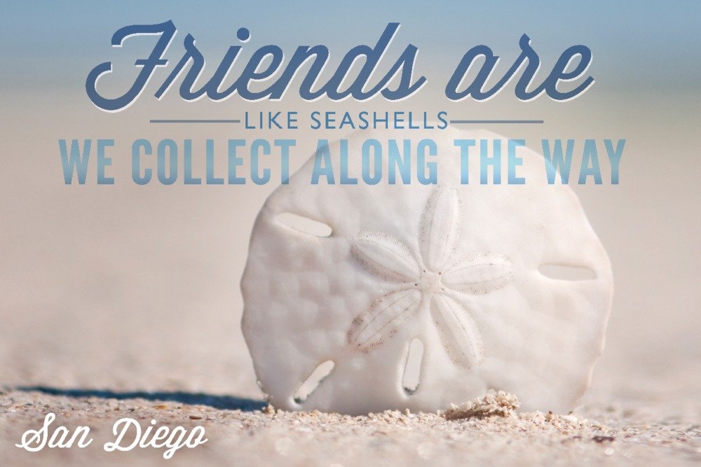 Friends Are Like Seashells - 16x24 Inch Coastal Metal Wall Art Decor, Aluminum Print for Beach House, Living Room & Office - San Diego California Inspired Sand Dollar Design