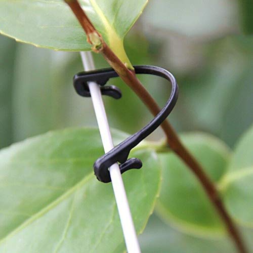 200pcs Reusable Vegetable Clips - Strong Garden Plant Ties for Supporting Tomatoes, Vines & Flowers | Secure Plants to Stakes & Trellises | Perfect for Home Gardening, Greenhouses & Farm Use