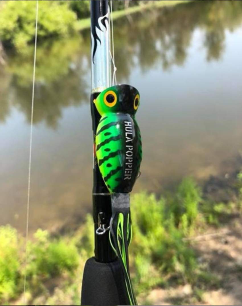 Topwater Bass Fishing Lure - Hula Popper with Realistic Action for Freshwater & Saltwater Fishing | Perfect for Casting, Trolling, and Shore Fishing