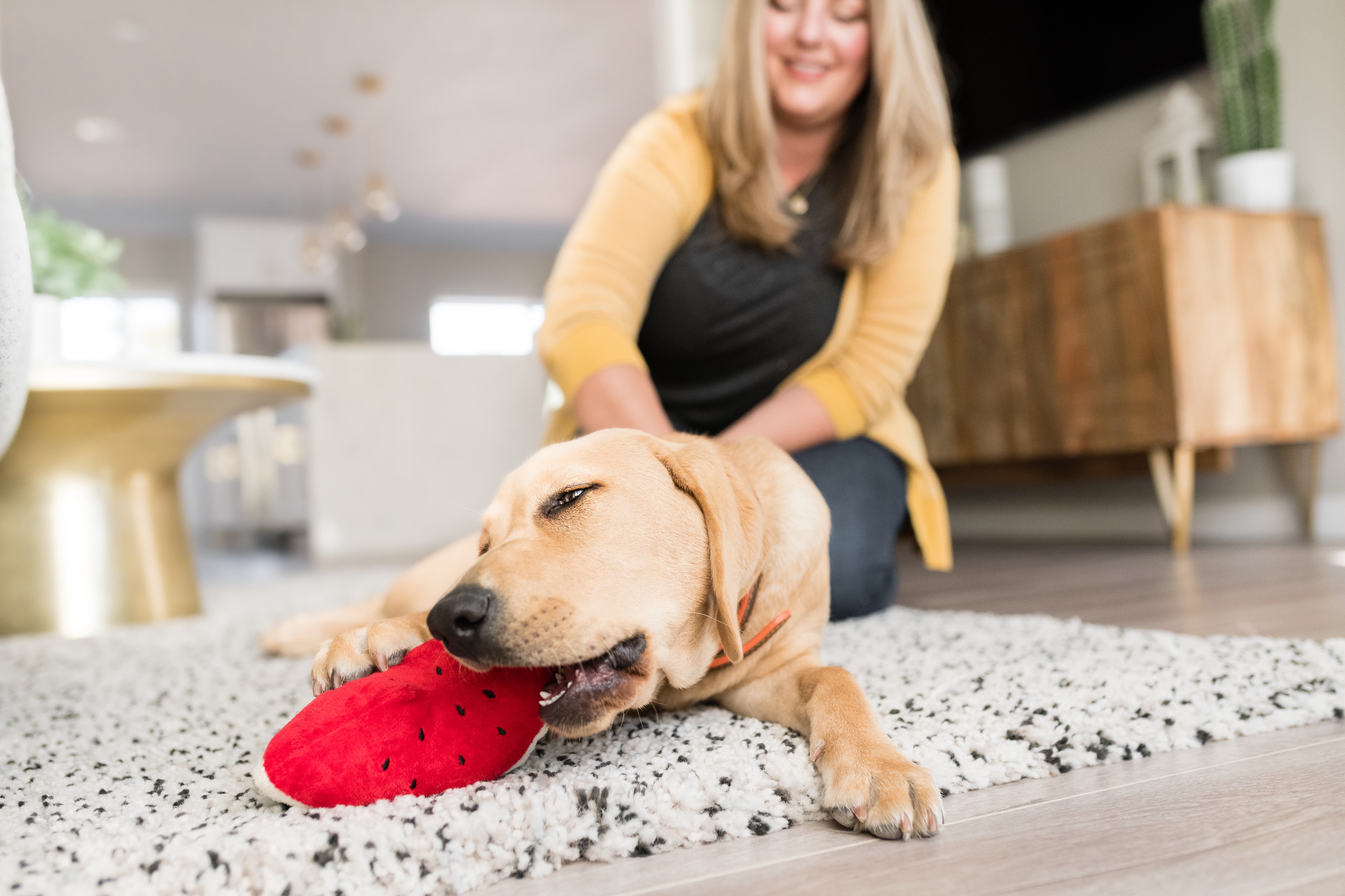 Tropical Paradise™ Watermelon Dog Plush Toy - Durable & Fun Chew Toy for Small & Large Dogs | Perfect for Playtime, Training & Cuddling | Pet P.L.A.Y.
