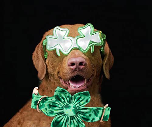St. Patrick's Day Dog Collar with Floral Pattern - Adjustable Pet Collar for Large Dogs | Cute Flower Design for Irish-Themed Pet Parties & Outdoor Walks