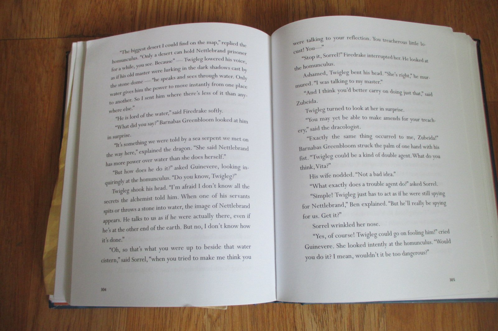 Dragon Rider Fantasy Novel - Epic Adventure Book for Teens & Adults | Perfect for Reading, Gifts & Book Clubs
