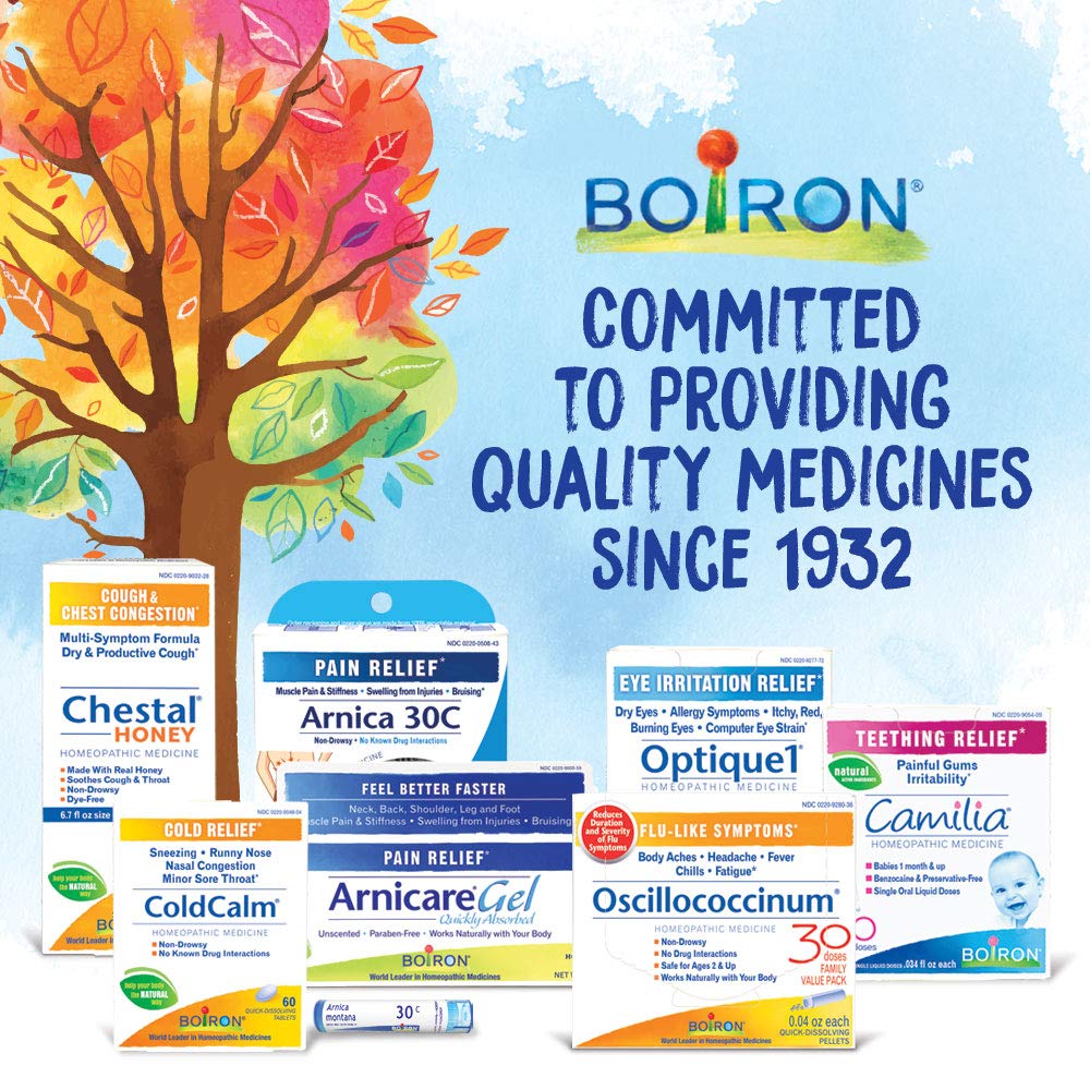 Boiron Chelidonium Majus 6c Homeopathic Medicine - Natural Relief for Nausea & Right Upper Back Pain - 240 Pellets (Pack of 3) | Supports Digestive Comfort & Liver Health | Ideal for Travel, Motion Sickness & Post-Meal Discomfort