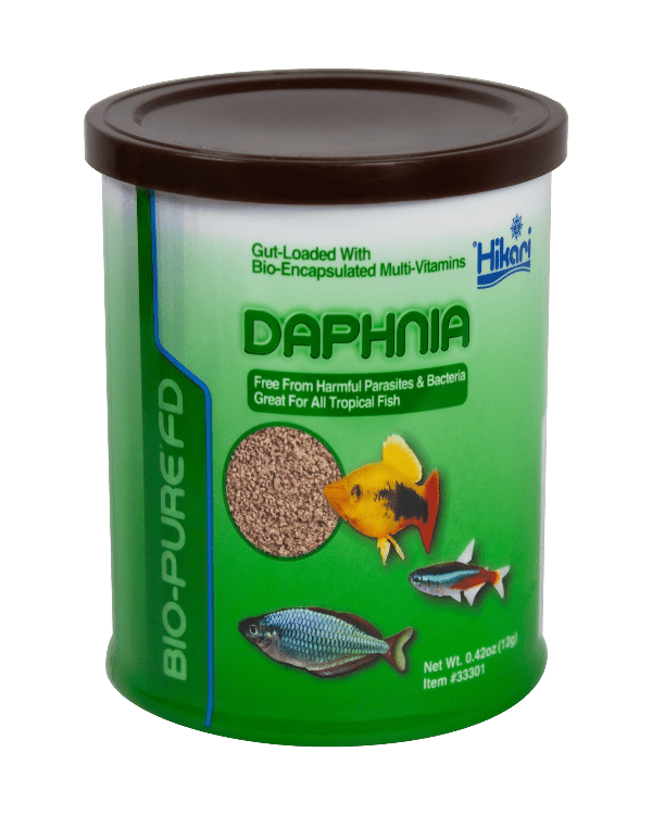 Hikari Freeze Dried Daphnia - Premium Fish Food for Tropical & Goldfish - High Protein Natural Treat for Aquarium Fish - Perfect for Feeding Betta, Guppies & Angelfish