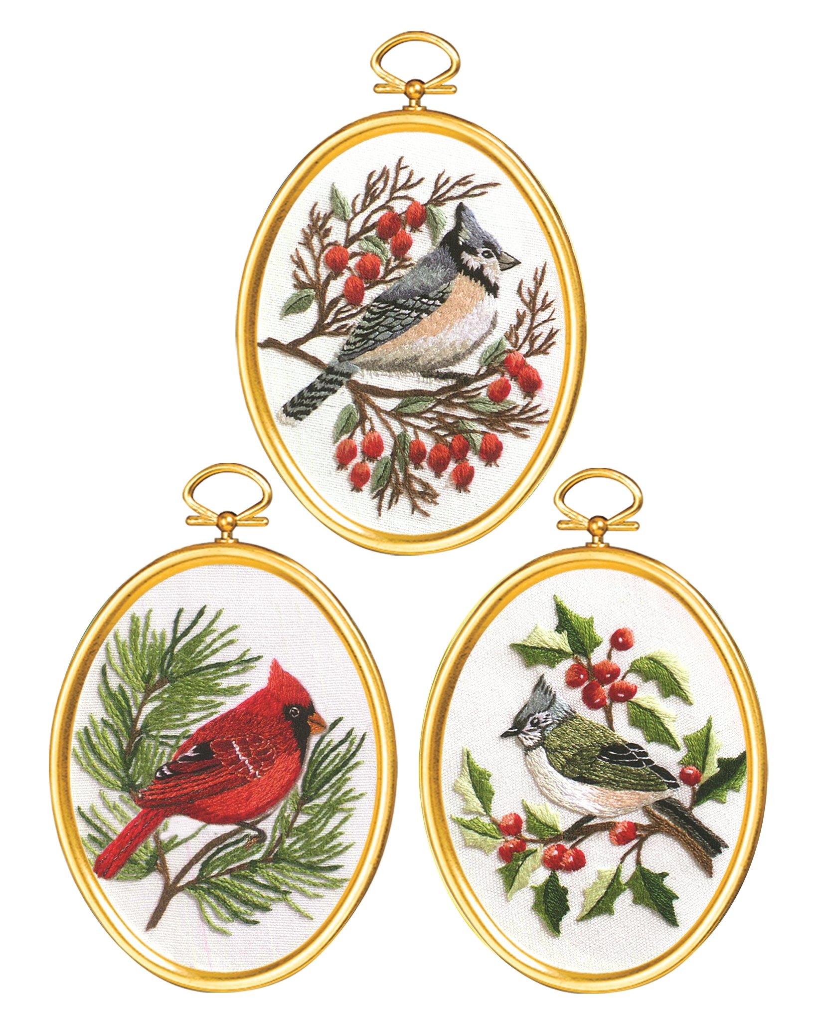 Janlynn Winter Birds Cross Stitch Kit - Multi-Colored Embroidery Supplies for DIY Home Decor & Holiday Crafting