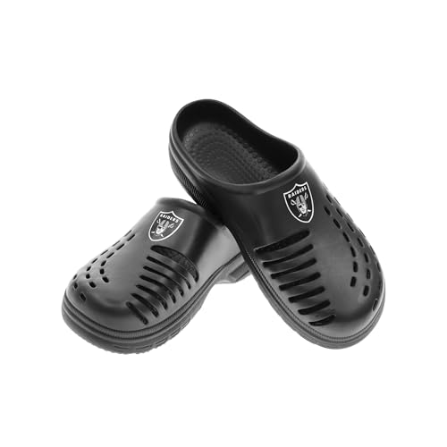 Las Vegas Raiders