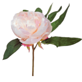 Artificial Small Pink Peony Flowers - Realistic Silk Peony Bouquet for Home Decor, Wedding Centerpieces, Bridal Shower, and DIY Floral Arrangements