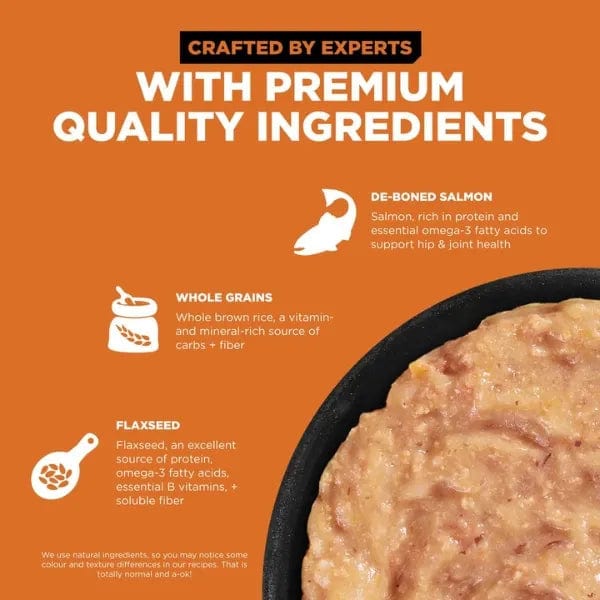 Premium Go! Solutions Skin & Coat Care Salmon Pate Wet Cat Food - Grain-Free, Omega-Rich Formula for Healthy Fur & Skin - Perfect for Adult Cats with Sensitive Skin or Allergies