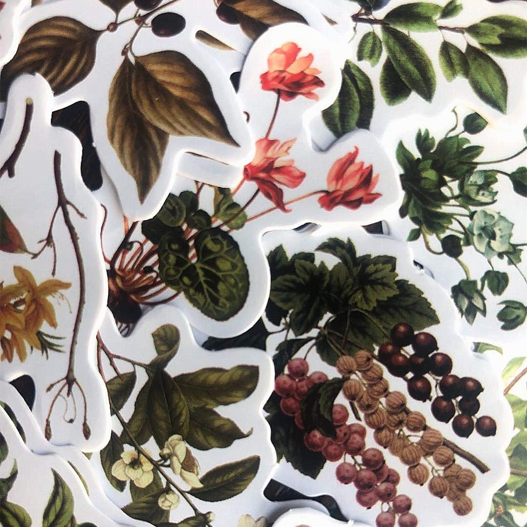 Aesthetic Plant Stickers Set - 92PC Cute Flower & Seasonal Wild Plant Decals for Scrapbooking, Fall Leaves Stickers for Laptop, Phone Case, Kindle, Journal, Planner, DIY Crafts - Perfect for Home Office, School Supplies & Gift Wrapping