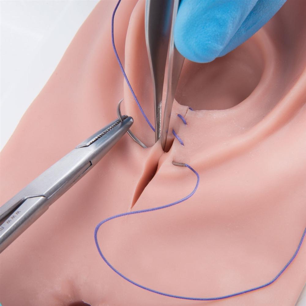 Episiotomy and Suturing Simulator with Realistic Lighting - Medical Training Model for OBGYN Students & Midwives - Perfect for Clinical Practice & Surgical Skills Development