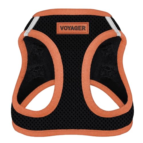 Harness (Black/Orange Trim)