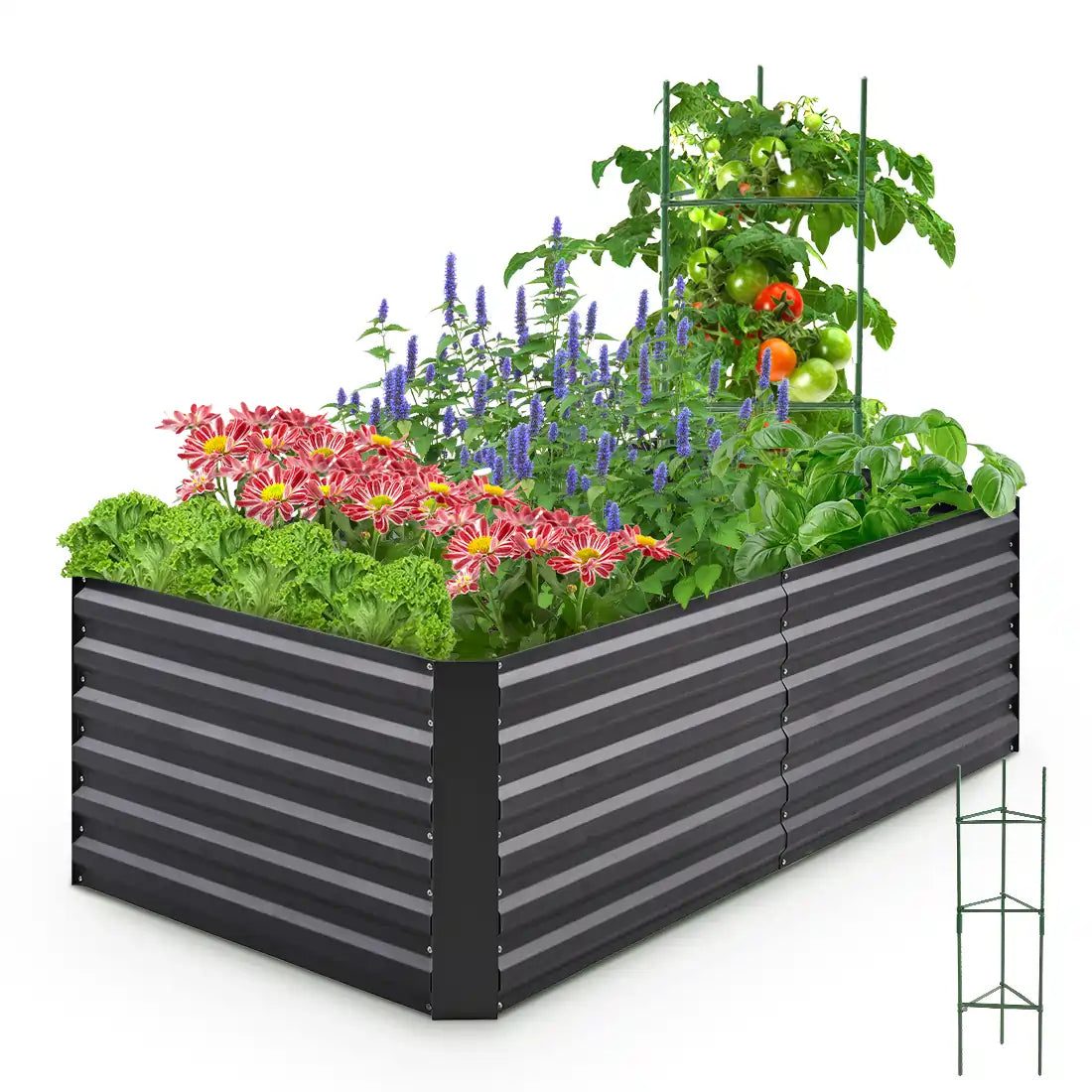 Elevated Raised Garden Bed Kit for Vegetables, Herbs & Flowers - Durable Outdoor Planter Box for Backyard, Patio & Balcony Gardening