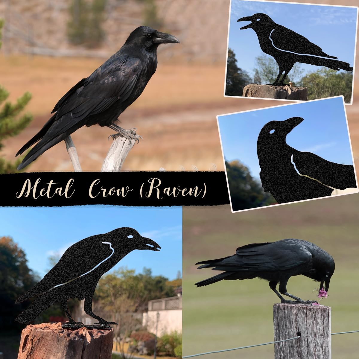 Gothic Metal Raven Statue - Black Crow Decor for Garden, Fence Topper, Outdoor Halloween & Easter Decorations - Perfect for Gothic Home, Yard, and Halloween Party Scenes