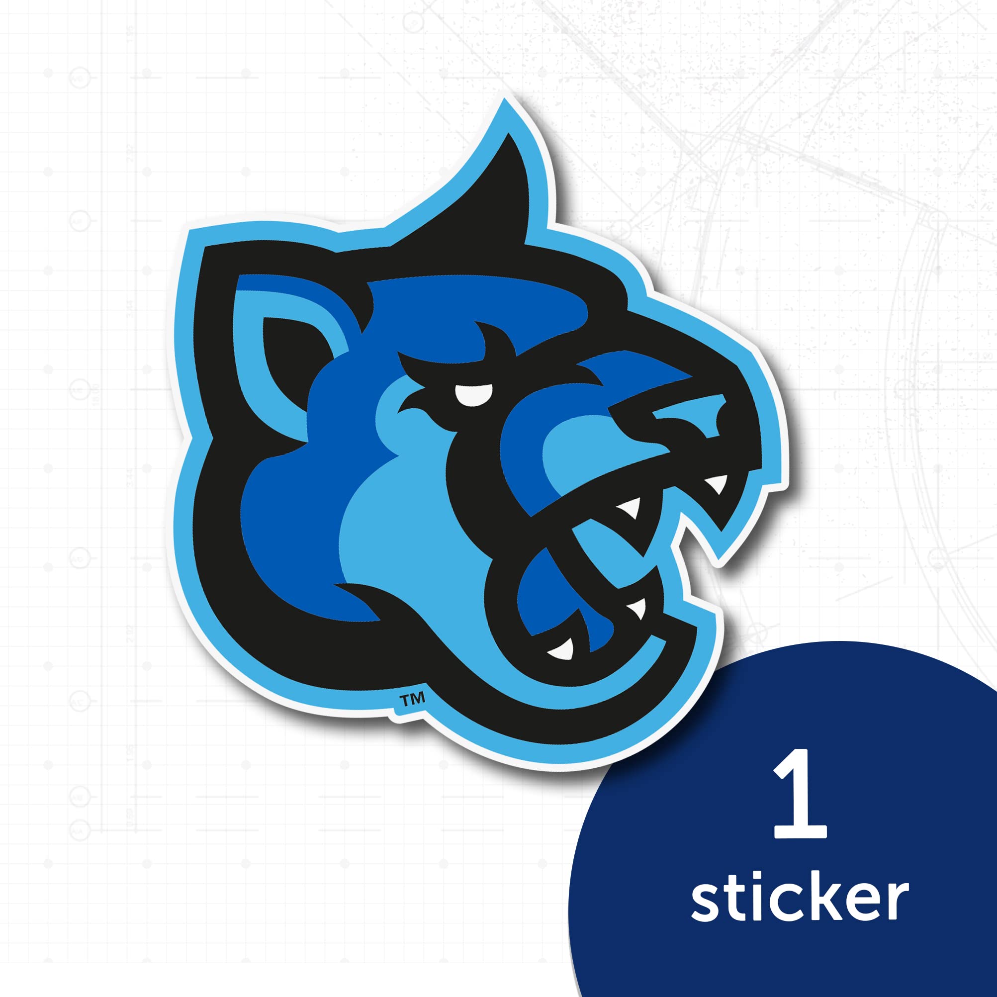 Desert Cactus CSUSM Sticker - California State San Marcos University Vinyl Decal for Laptop, Water Bottle, Car & Scrapbook | Perfect for College Students, Alumni Gifts & School Spirit Accessories (IND 00018)